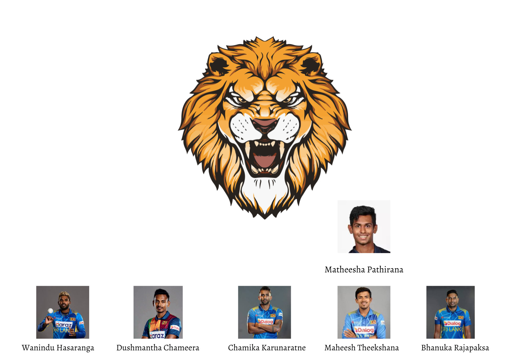 Partnership Announcement - Lions Cricket & Promac Paints | cricexec
